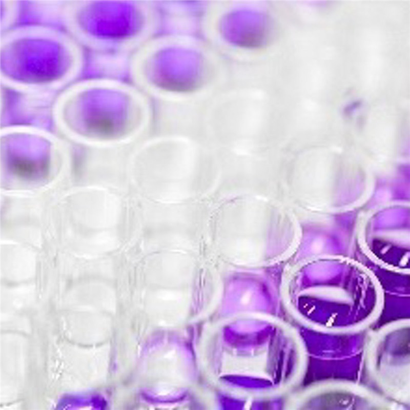 ReadyCells® Rapid Culture System